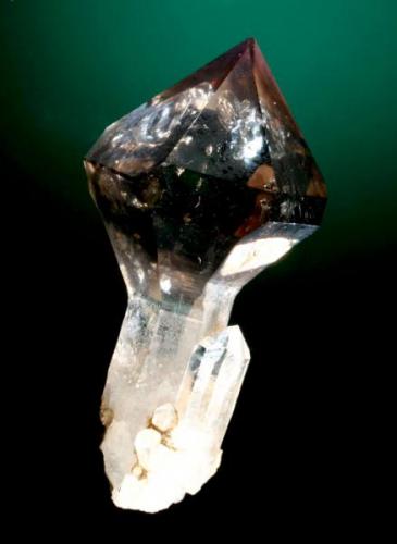 Quartz, var. smoky quartz, scepter crystal, Brandberg area, Namibia, 35 mm. (Author: Jim)