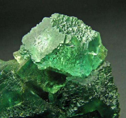 Fluorite, Okoruso Mine, Namibia, width of picture approx. 3.5 cm (Author: Montanpark)