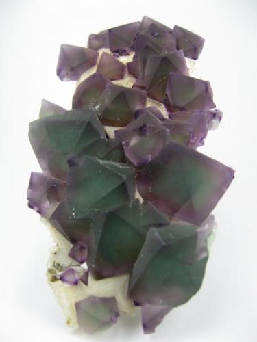 Fluorite, quartz
De’an Mine, De’an Co., Jiujiang Prefecture, Jiangxi Province, China
150 mm x 80 mm. Main crystal size: 30 mm on edge (Author: Carles Millan)
