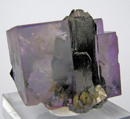 Ferberite, fluorite, arsenopyrite, mica
Yaogangxian Mine, Yizhang Co., Chenzhou Prefecture, Hunan Province, China (Author: Carles Millan)