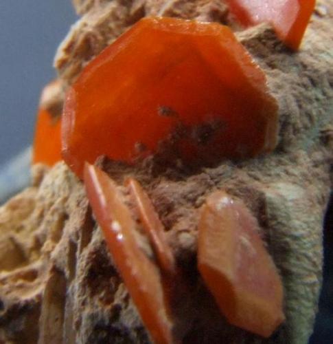 Another close up (Author: nurbo)