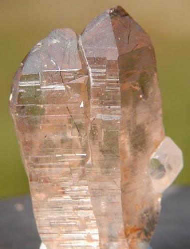 Quartz Smoky, Schorl needle inclusions & attached Topaz
Klein Spitzkoppe, Namibia.
4.2cm x 2.3cm (Author: Debbie Woolf)