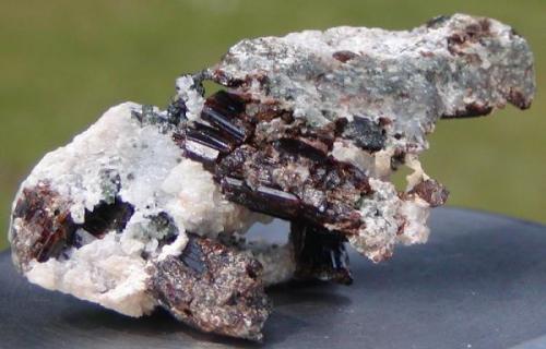 Vesuvianite, Scapolite, Diopside in Calcite matrix.
Ais-Dome, Otjihorongo, Omaruru District, Namibia.
7.6cm x 4cm x 3.5cm (Author: Debbie Woolf)