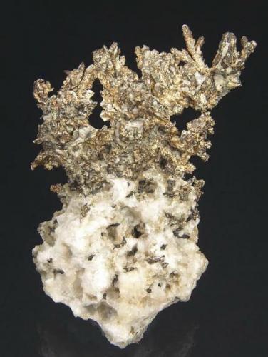 Silver with Quartz

Copper Falls Mine
Ashbed Lode
Keweenaw County, Michigan
United States of America

8.1 x 5.5 x 2.0 cm overall (Author: GneissWare)