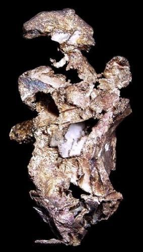 Silver with Quartz

Elizabeth Hill
Munni Munni Complex
Karratha
Western Australia
Australia

9.9 x 5.3 cm overall (Author: GneissWare)