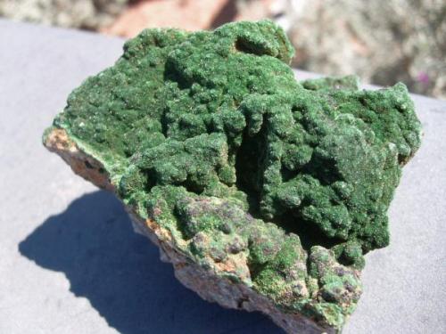 Libethenite, 6 cm across, South Rim, Pit, Tyrone Mine, Grant County, New Mexico (Author: Darren)