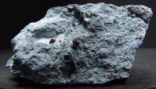 Benitoite, Neptunite, Joaquinite and  Djurleite with a dusting of Natrolite on a Crossite Matrix 65 x 35 mm approx, Benitoite Gem Mine California (Author: nurbo)