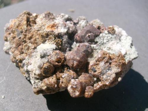 Hematite heavily including and replacing andradite. The crystals are about a half cm. Self-collected, and one of only 2 I have found like this. (Author: Darren)