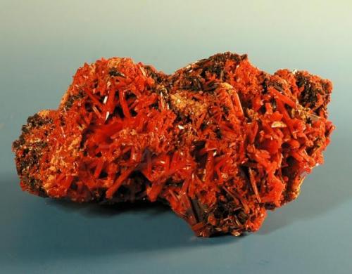 Crocoite
12 x 6 x 6,5 cm
Tundas (Tasmania)
Australia (Author: Granate)