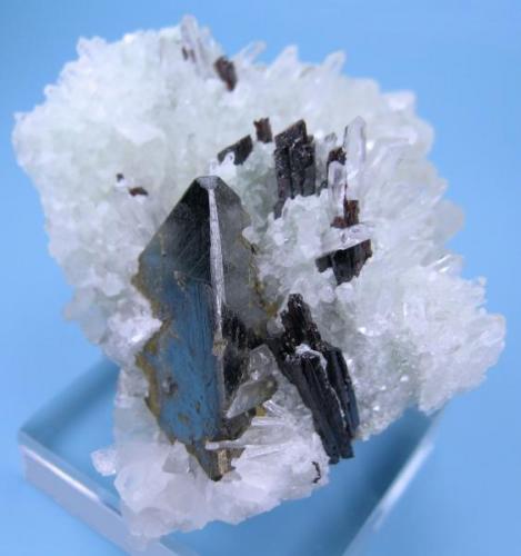 Tetrahedrite, hübnerite, quartz
Mundo Nuevo Mine, Huamachuco, Sánchez Carrión, La Libertad, Peru
61 mm x 57 mm. Tetrahedrite crystal edge: 25 mm long

Front view (Author: Carles Millan)