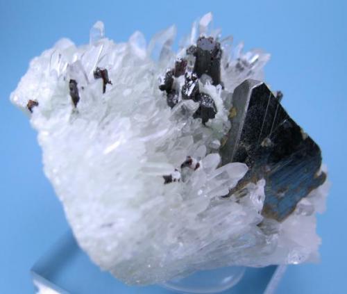 Tetrahedrite, hübnerite, quartz
Mundo Nuevo Mine, Huamachuco, Sánchez Carrión, La Libertad, Peru
61 mm x 57 mm. Tetrahedrite crystal edge: 25 mm long (Author: Carles Millan)