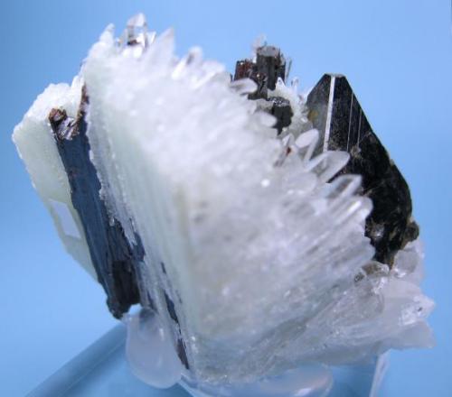 Tetrahedrite, hübnerite, quartz
Mundo Nuevo Mine, Huamachuco, Sánchez Carrión, La Libertad, Peru
61 mm x 57 mm. Tetrahedrite crystal edge: 25 mm long

Side view (Author: Carles Millan)