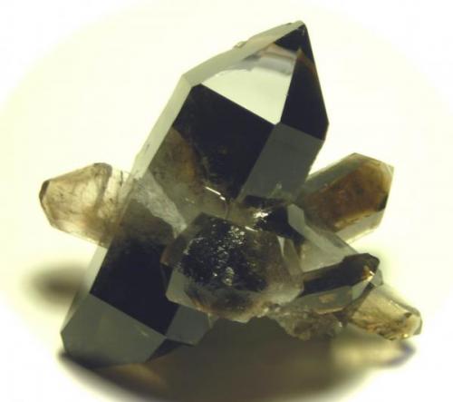 Smokey quartz (lab irradiated), dual termination, main crystal is 8cm in length (Author: Turbo)
