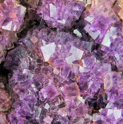 Fluorite
Berbes Mining area, Ribadesella, Asturias, Spain
157 mm x 146 mm

Close up view (Author: Carles Millan)