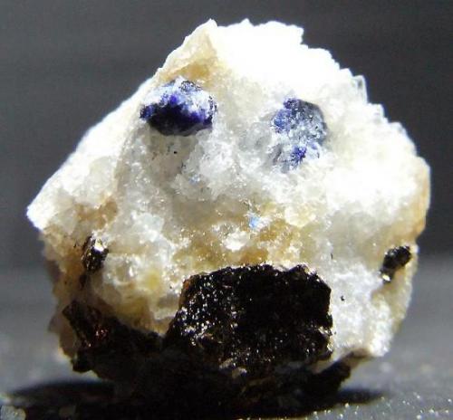 Lazurite on Microcline with Pyrite Afghanistan, 15 mm tall (Author: nurbo)