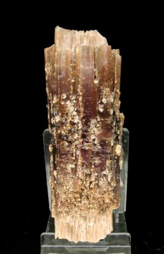 Aragonite from La Pesquera, Cuenca, Spain
Specimen size: 8.9 × 3.3 × 3 cm = 3.5” × 1.3” × 1.2”
Photo: http://www.fabreminerals.com/specimens/RSES-spain-notable-specimens.php#N8BL6 (Author: Jordi Fabre)