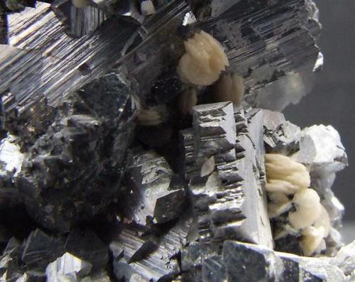 Small clusters of Siderite crystals (approx 3 mm diameter) on the side of the Arsenopyrite. (Author: nurbo)