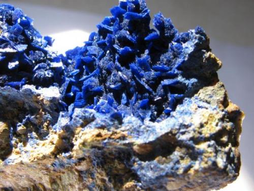 Azurite<br />Morenci Mine, Morenci, Copper Mountain District, Shannon Mountains, Greenlee County, Arizona, USA<br />6.0 x 7.0 cm<br /> (Author: Linda Smith)