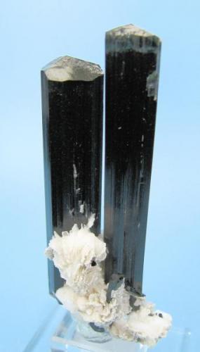 Schorl, elbaite, albite
Bulochi, Astor valley, Astor District, Gilgit-Baltistan, Pakistan (Author: Carles Millan)