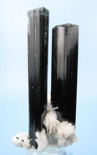 Schorl, elbaite, albite
Bulochi, Astor valley, Astor District, Gilgit-Baltistan, Pakistan

Back view (Author: Carles Millan)