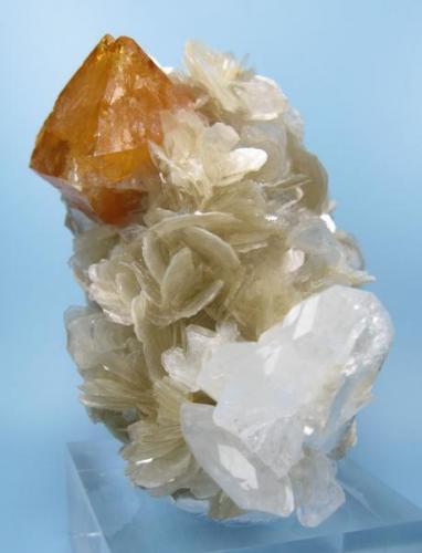 Scheelite, beryl, muscovite
Xuebaoding, Huya, Pingwu, Mianyang, Sichuan, China (Author: Carles Millan)