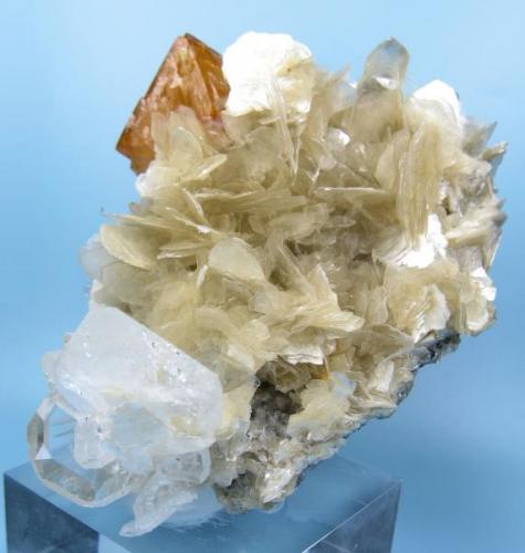 Scheelite, beryl, muscovite
Xuebaoding, Huya, Pingwu, Mianyang, Sichuan, China (Author: Carles Millan)