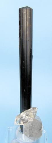 Schorl, quartz
Dassu area, Shigar Valley, Skardu District, Gilgit-Baltistan, Pakistan
Schorl size: 109 mm long, 10 mm wide. Main quartz size: 41 mm long (Author: Carles Millan)