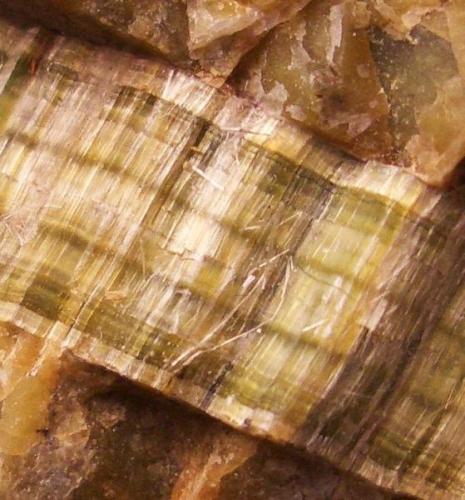 Here is an example of fibrous Chrysotile from the Jeffery Mine, Asbestos, Quebec, Canada. Here the attraction, in addition to being something new and different to my collection, is the color banding and the fibrous habit. The seam is 3/8" wide (0.8cm) (Author: Jim Prentiss)