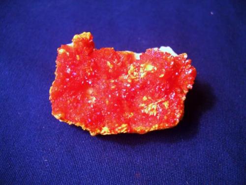 This little Orpiment piece is from Elbrusskiy Mine, Elbruss Mt, Northern Caucasus Region, Russia. I have had little luck in capturing the beauty of this brighty colored specimen. If anyone has seen this stuff before you know what I mean. The dimensions are 1" x 1/2" x 3/8" (2.5cm x 1.3cm x 0.8cm) (Author: Jim Prentiss)