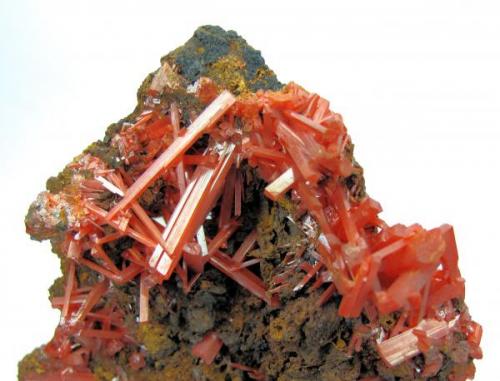 Crocoite
Dundas, Zeehan district, Tasmania, Australia
85 mm x 59 mm (Author: Carles Millan)