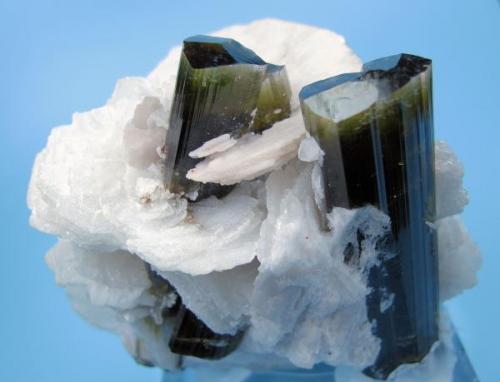 Elbaite, albite, quartz
Stak Nala, Haramosh Mountains, Skardu, Gilgit-Baltistan, Pakistan
65 mm x 57 mm. Major elbaite crystal size: 16 mm wide (Author: Carles Millan)
