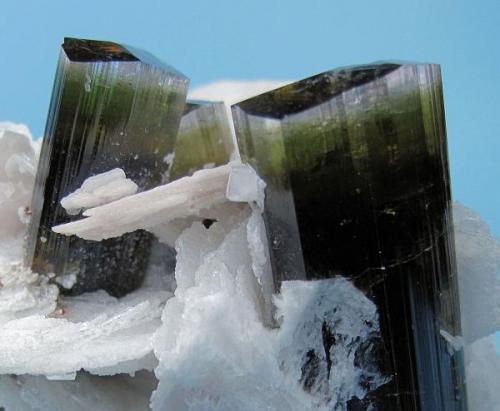 Elbaite, albite, quartz
Stak Nala, Haramosh Mountains, Skardu, Gilgit-Baltistan, Pakistan
65 mm x 57 mm. Major elbaite crystal size: 16 mm wide

Close up view (Author: Carles Millan)