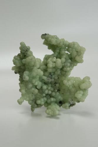 11cm. Prehnite from Southbury Ct.. Found in basalt vugs with few points of attachments. (Author: vic rzonca)