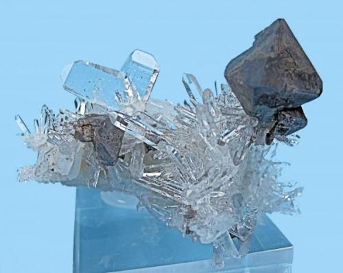 Scheelite, quartz
Tamboras, Mundo Nuevo, Huamachuco, Sánchez Carrión, La Libertad, Peru
60 mm x 41 mm; main scheelite crystal: 22 mm; twin quartz: 17 mm

Front view (Author: Carles Millan)