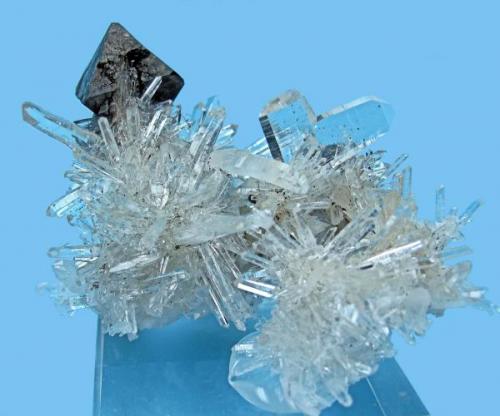 Scheelite, quartz
Tamboras, Mundo Nuevo, Huamachuco, Sánchez Carrión, La Libertad, Peru
60 mm x 41 mm; main scheelite crystal: 22 mm; twin quartz: 17 mm

Back view (Author: Carles Millan)