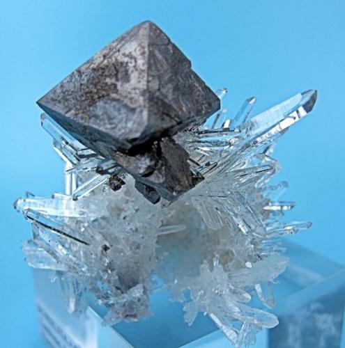 Scheelite, quartz
Tamboras, Mundo Nuevo, Huamachuco, Sánchez Carrión, La Libertad, Peru
60 mm x 41 mm; main scheelite crystal: 22 mm; twin quartz: 17 mm

Side view (Author: Carles Millan)