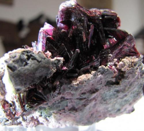 Erythrite crystals on matrix from Bou Azzer area, near Ouarzazate, Morocco.  5.7 x 4.7 x 4.4 cm.  From the 2009 Munich show. (Author: Tracy)