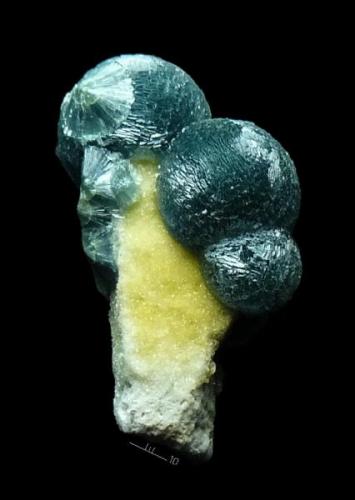 Wavellite
Arkansas
Usa
2,5cm (Author: parfaitelumiere)