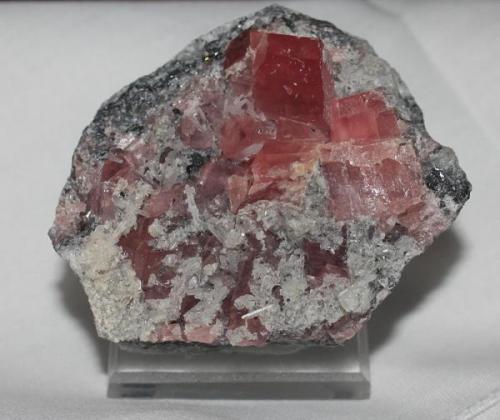 Rhodochrosite with quartz from Sweet Home Mine, Colorado. 6x5x2 cm. (Author: Jessica Simonoff)