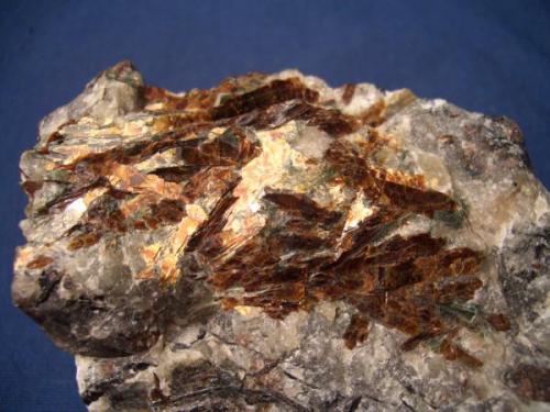 I like this Astrophyllite because of its different habit, it looks like copper colored streamers lying on the matrix. The field of view is 3" (7.62cm). It is from Eveslogchorr Mountain, Khibiny Massif, Kola Peninsula, Murmanskaja Oblast, Northern Region, Russia. (Author: Jim Prentiss)