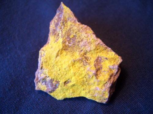 Tyuyamunite is one of the radioactive minerals in my collection that the Border Patrols sensors detected when I came down from Alaska a couple of years ago. Very sensitive equipment. I like it for its bright yellow color. The minute tabular crystals and only be appreciated with 20x or more. It is from Blue Peak Mine, Poison Canyon Area, Grants District, Cibola County, New Mexico and measures 7/8" x 3/4" (2.22cm x 1.90cm) (Author: Jim Prentiss)