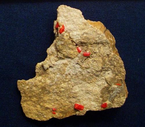 This humble Realgar specimen has a couple of well formed brightly colored crystals scattered about which are better viewed with at least a 10x. The crystals average about 1/16" (1.6mm) from Royal Reward Mine, Green River Gorge, Franklin, King County, Washington. (Author: Jim Prentiss)