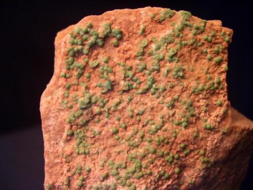 Here is another of my type locality minerals. This was my first Variscite. The small, 1/32" (0.8mm) green spheres are from Meßbach Quarry, Altmannsgrun, Plauen, Voughtland, Saxony, Germany. (Author: Jim Prentiss)