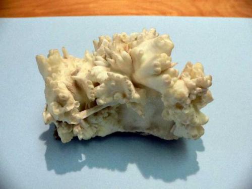 Aragonite from Erzberg, Eisenerz, Styria, Austria, ex Curt Segeler collection (Author: Wynnek)