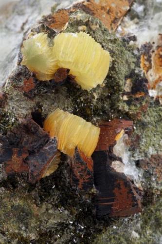 Largest compound crystal  1 cm. (Author: vic rzonca)