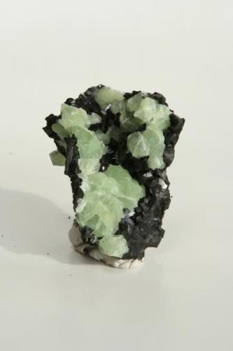 Babingtonite and prehnite, 5x7 cm.. (Author: vic rzonca)