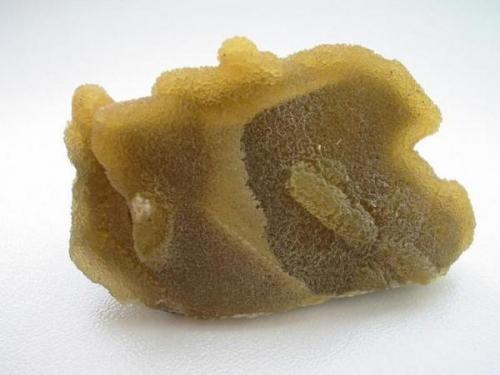 Another good locality in Brandenburg are the claypits around Bad Freienwalde, some 80 km in the east of Berlin. There come very good gypsum samples, occuring in christmas tree-like aggregates up to 40 cm. From the northern claypit is this cute specimen with greenish calcite on lime stone. (Author: Andreas Gerstenberg)