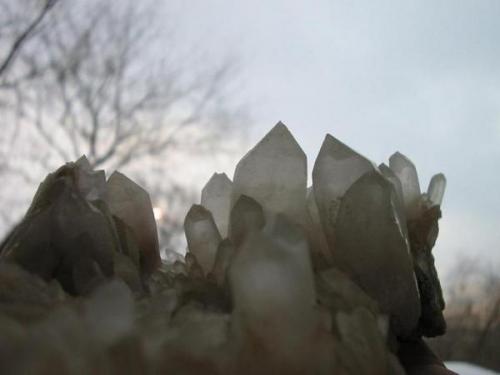 Quartz crystals in front of a East Berlin winter sundowner... The crystals are up to 4 cm, they come from the Simon Bogners Neuwerk mine, Brand-Erbisdorf, Freiberg district, Erzgebirge, Saxony. There was found just one big vug full of good crystals which are sought-after by local collectors. (Author: Andreas Gerstenberg)