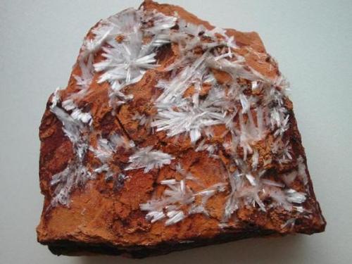 White gypsum needles on "fried" clay from the Basalt quarry Bauersberg near Bischofsheim, Rhön mountains, Bavaria. (Author: Andreas Gerstenberg)