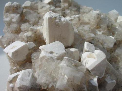 White picromerite crystals (up to 2,5 cm) on halite from the 800 m level, Bergmannssegen-Hugo potash mine, Lehrte near Hannover, Lower Saxony. (Author: Andreas Gerstenberg)